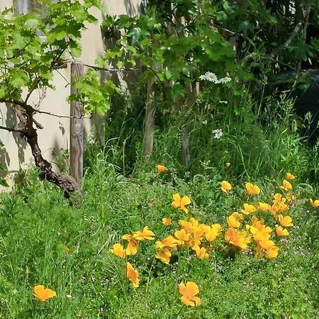 Petite Ferme Dans Le Perigord Pourpre En Dordogne